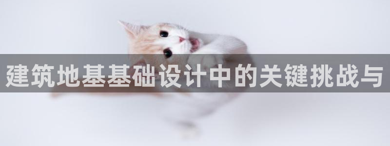 乐发彩票平台下载