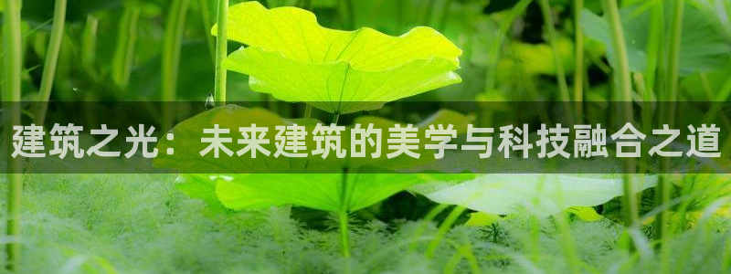 乐发ix投资平台官网