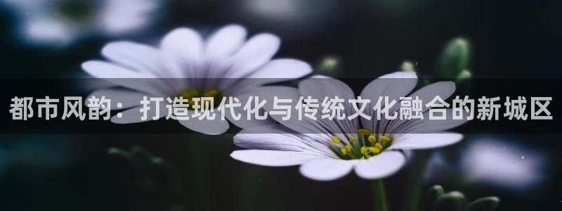 乐发平台怎么换邀请码