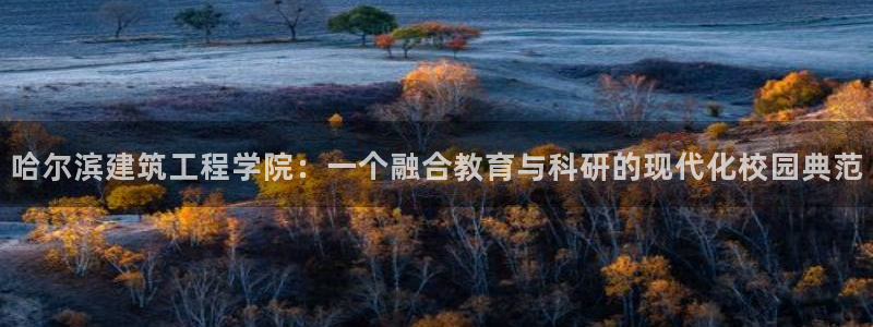 乐发传媒是正规平台吗