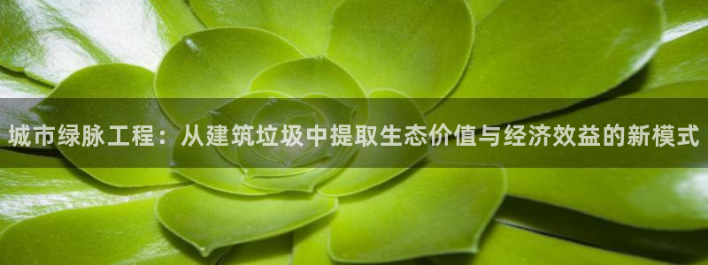 乐豪发是黑平台吗