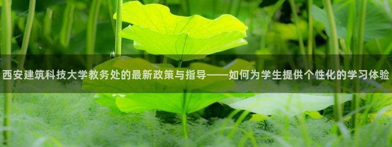 乐豪发娱乐平台