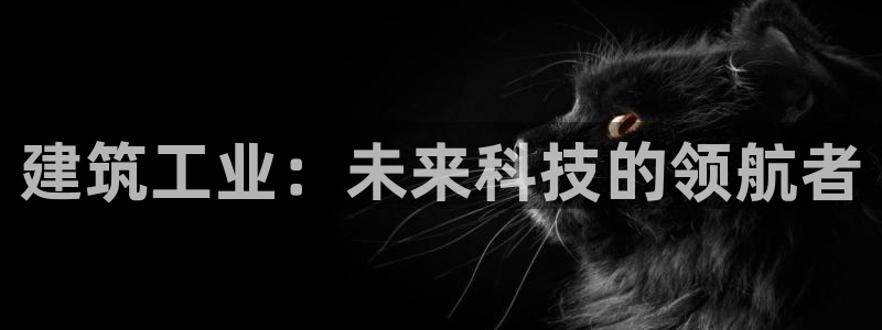 乐总105发卡平台