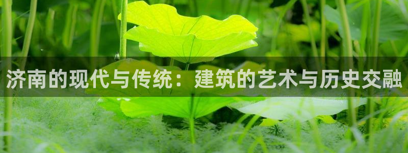 乐发vll平台靠谱嘛：济南的现代与传统：建筑的艺术与历史交融