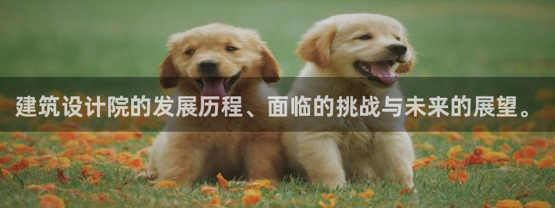 发乐发彩票平台注册码：建筑设计院的发展历程、面临的挑战与未来的展望。
