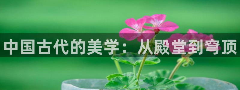 乐发92lv官方平台：中国古代的美学：从殿堂到穹顶