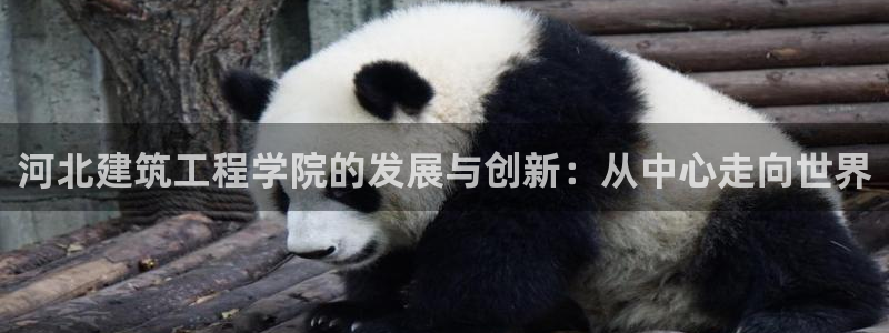 乐发lv官方平台电话
