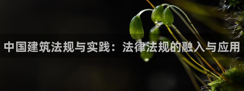 乐卡发平台