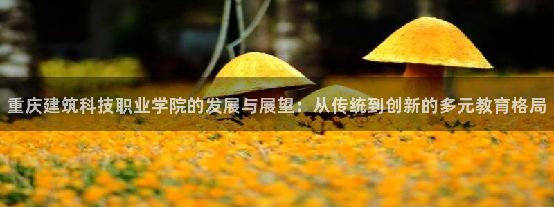 乐发 lll平台
