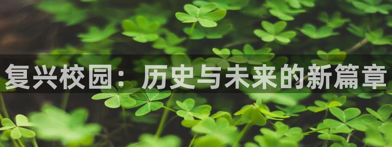 乐发平台怎么样知乎