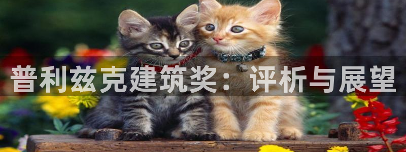久乐发广告任务平台：普利兹克建筑奖：评析与展望