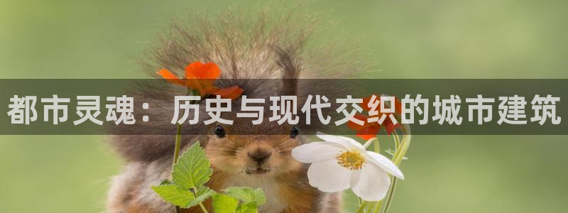 乐豪发游戏平台