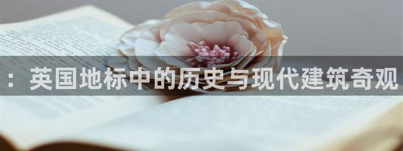 乐发平台注册资金多少钱