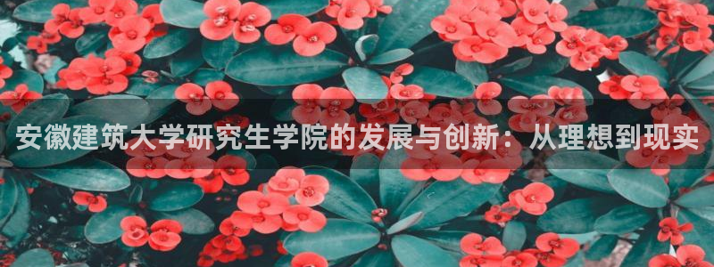 乐发乐发平台邀请码：安徽建筑大学研究生学院的发展与创新：从理想到现实