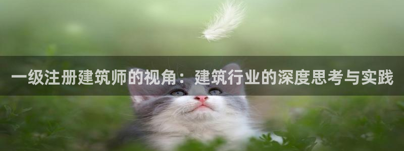 乐发彩票登录平台下载：一级注册建筑师的视角：建筑行业的深度思考与实践