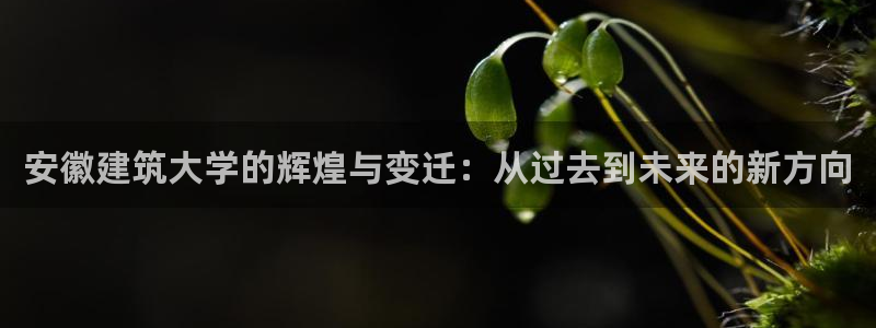 乐发平台彩票怎么兑奖：安徽建筑大学的辉煌与变迁：从过去到未来的新方向