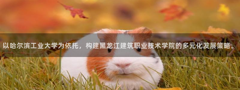万发大平台乐透：以哈尔滨工业大学为依托，构建黑龙江建筑职业技术学院的多元化发展策略。