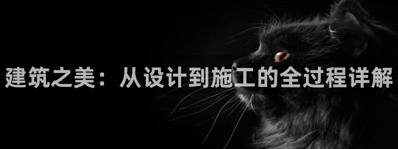 必乐2平台19发指尖：建筑之美：从设计到施工的全过程详解