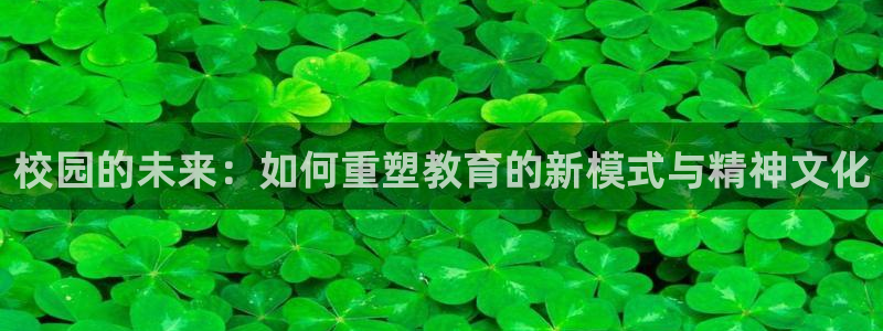 乐发彩票vll平台