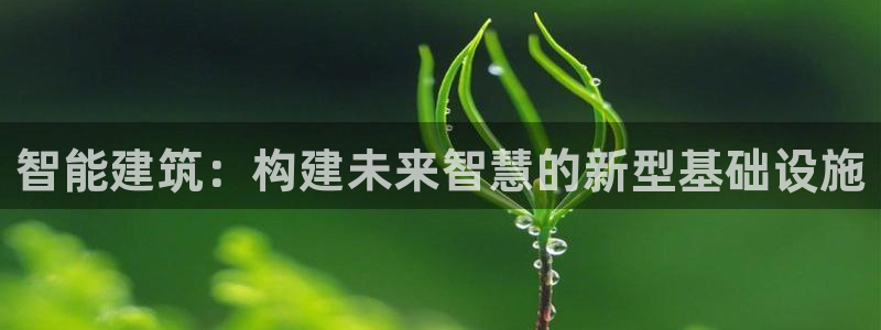 乐发体育平台官网