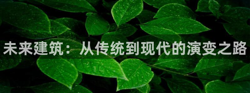 乐发平台真的假的：未来建筑：从传统到现代的演变之路
