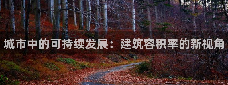 乐赚发圈平台app：城市中的可持续发展：建筑容积率的新视角