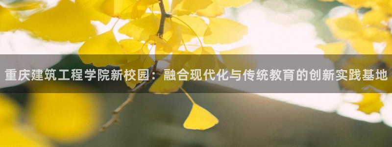 乐发传媒平台是查封了吗：重庆建筑工程学院新校园：融合现代化与传统教育的创新实践基地